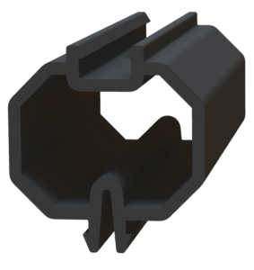 C2